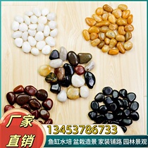 Natural rain flower stone flower pot succulent potted fish tank landscaping pavement stone bottom sand colorful stone special stone for flower cultivation