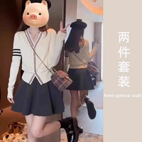 Свитер, демисезонная юбка, комплект, коллекция 2023, изысканный стиль