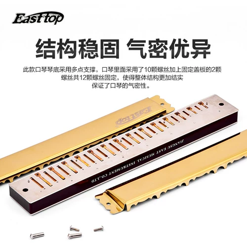 东方鼎 Гармонический 28-луночный начинающий Полифонный ABCDEFG#вниз по высоким уровням профессиональной производительности