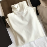 Приятная телу бархатная футболка, демисезонный лонгслив, популярно в интернете, высокий воротник, в корейском стиле, в обтяжку, облегающий крой