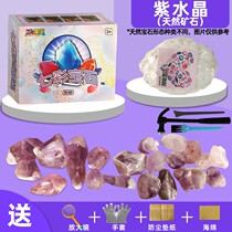 Fossil Jewel Crystal Archaeological Dig Treasure Toy Children Hand Dig Diamond Dig Blind Box Boy Girl