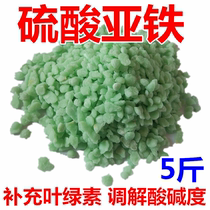 Fertilizer ferrous sulfate plant gardenia flower tea flower cuckoo osmanthus water soluble fertilizer home generic quick-impact nutrition cultivation