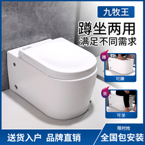 Pulse squat dual-purpose toilet without water tank small apartment squatting integrated toilet double-use squatting can sit in two-in-one