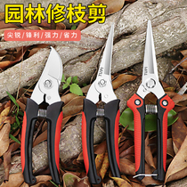 Imported gardening scissors pruning shears floral scissors fruit picking artifact flower cutting scissors branch scissors pruning shears