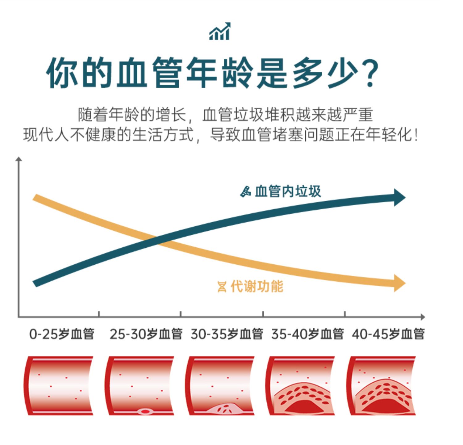 新生命美国原装深海鱼油软胶囊