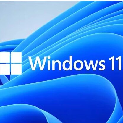Windows升级服务中心