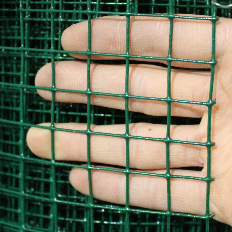 Chicken farm fence to raise chickens and ducks barbed wire fence mesh grid breeding chicken net barbed wire home outdoor