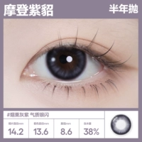 [Высококачественная серия] 14.2 Современный соболь | Серебряная флэш