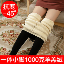 Underpants female outside wearing thickened and velvety autumn winter integrated lamb suede warm pants high waist wearing northeast cotton pants woman