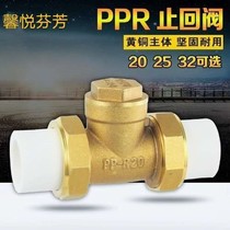 20 20 25 32 PPR double live Full copper check valve brass horizontal vertical check valve backstop valve check valve