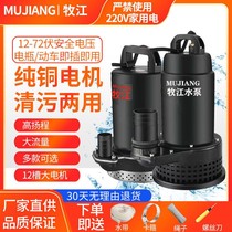 DC Dirty Water Pump Battery Dirty Water Pump Septic Tank 12V24V48V60V72V Small Tramway Water Pumping Submersible Pump