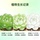 Новинка в Год Лошади, комбинированные суккуленты White Lady jade dew, комнатные растения в горшках, гостиная, офис, балкон, для начинающих, хороши для выращивания цветов. mini 4