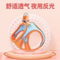 Teddy traction rope summer pet cat dog chest strap Small dog Corgi puppy vest type breathable dog walking chain