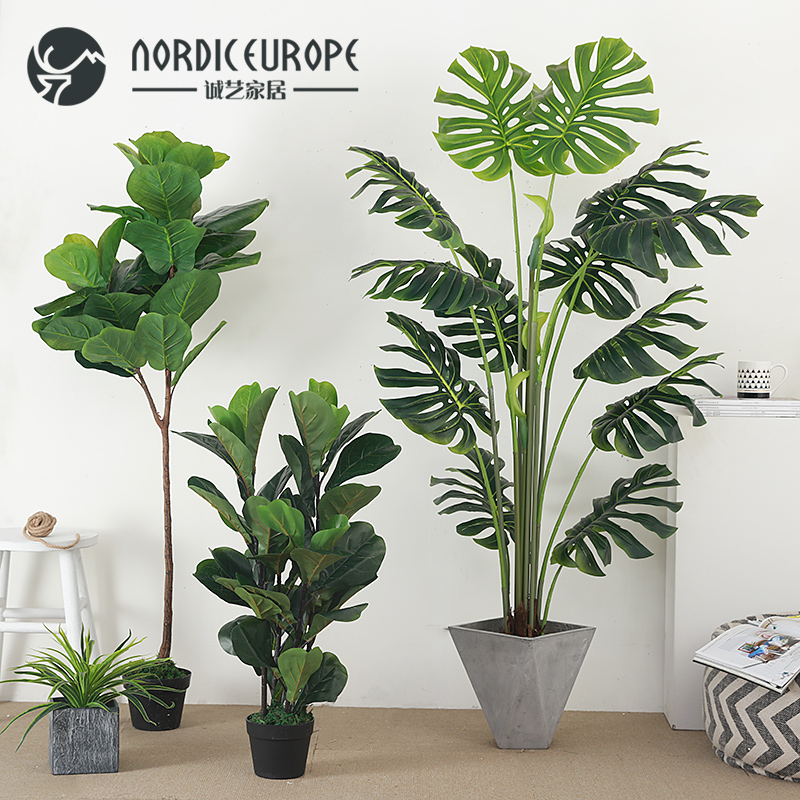 Chengyi Creative Shaped Cement Basin Netting Red Emulation Plant Potted Home Living Room Furnishing Fake Brigade of the Banana Leaf Banyan