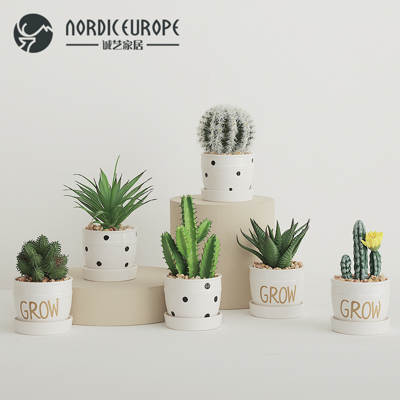 Creative Nordic succulent imitation plant potted ornament ins indoor living room ornament cactus bonsai ornament