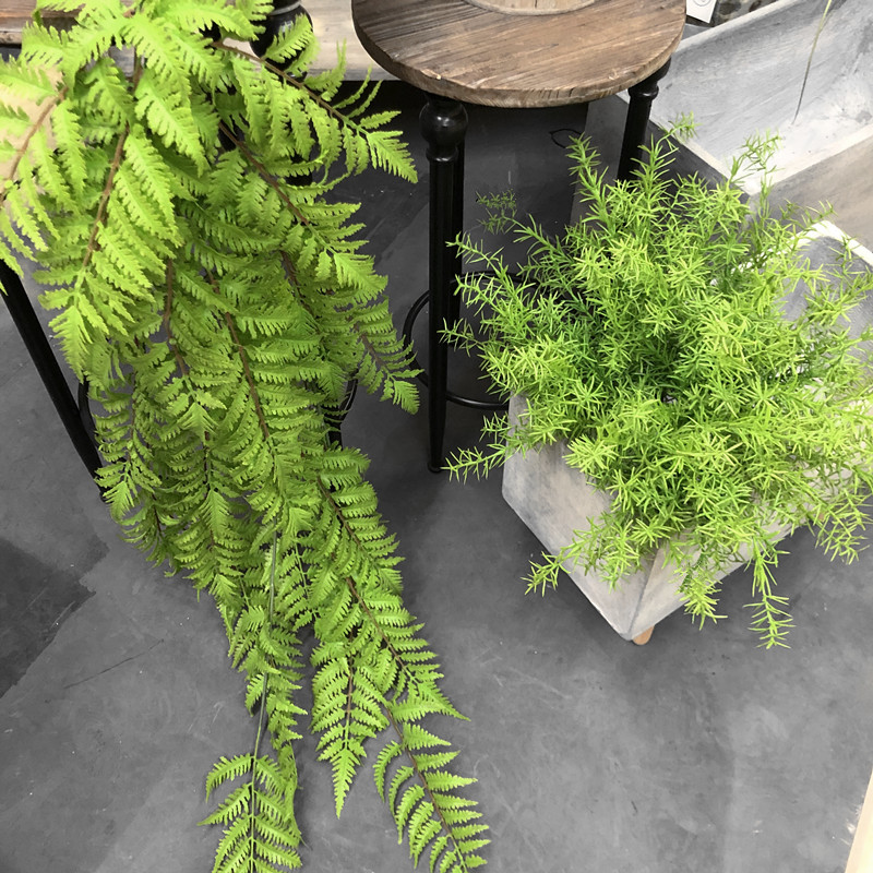 High simulation green plant kidney fern row grass fern Persian fern decorative wall fern Asparagus large bunch hanging