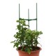 Climbing vine rack flower stand flower rack climbing vine rack flower pot bracket bracket courtyard plant grape rack plastic coated steel pipe thick