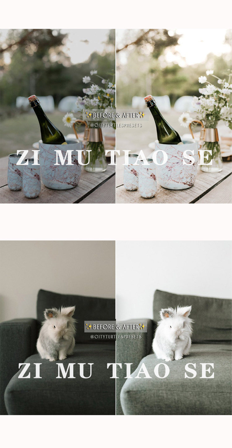 图片[6]-明亮清新通透干净人像PS滤镜PR/FCPX达芬奇Camera Raw预设剪映LUT-cg男孩