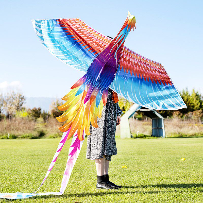 Kite Lord Special Super Large Net Red Upscale 2022 New Seven Colorful Phoenix Light Body Solid Breeze easy to fly