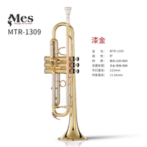 MeisMES small number instrument MTR-1309 drops in B tone