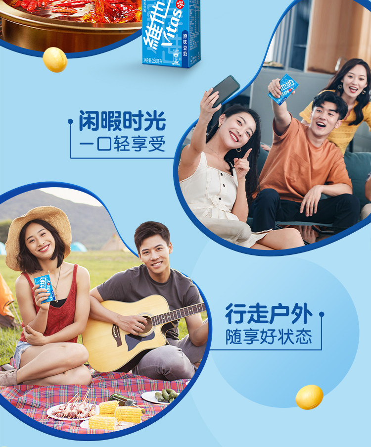 安享好物 安享C级含乳饮料-维他奶原味豆奶 国标 