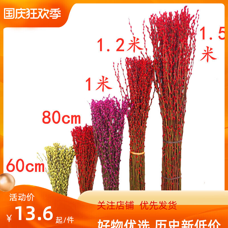 1 meter 1 2 meters 1 5 silver willow real flowers fresh branches New Year's Eve flowers red dry flowers colorful silver willow living room interior decoration