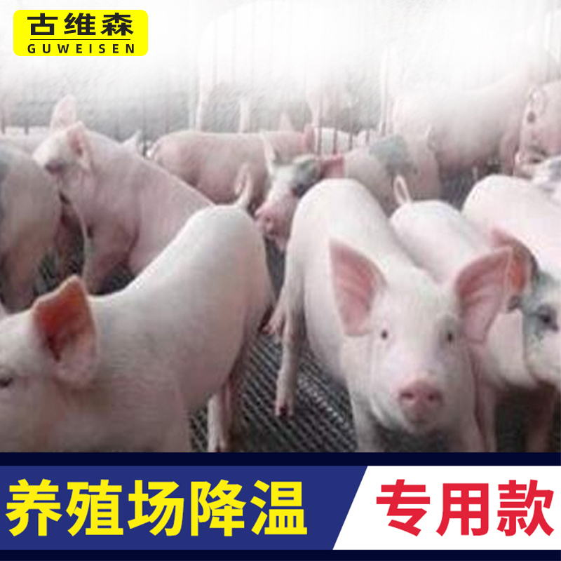 Farm spray cooling sprinkler special type atomization micro-spray sprinkler system automatic waterer watering flower sprinkler