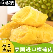 Durun Durian Arbre Thaï Cooked Golden Pillow Durian Viande congelée Viande congelée Viande congelée Or Pillow Viande de fruits Non-nucléaire Viandes fraîches