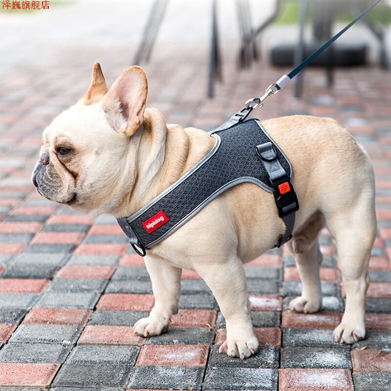 Dog Harness Vest Type Leash Small Dog Medium Dog Walking Rope Dog Chain Teddy Pet Supplies