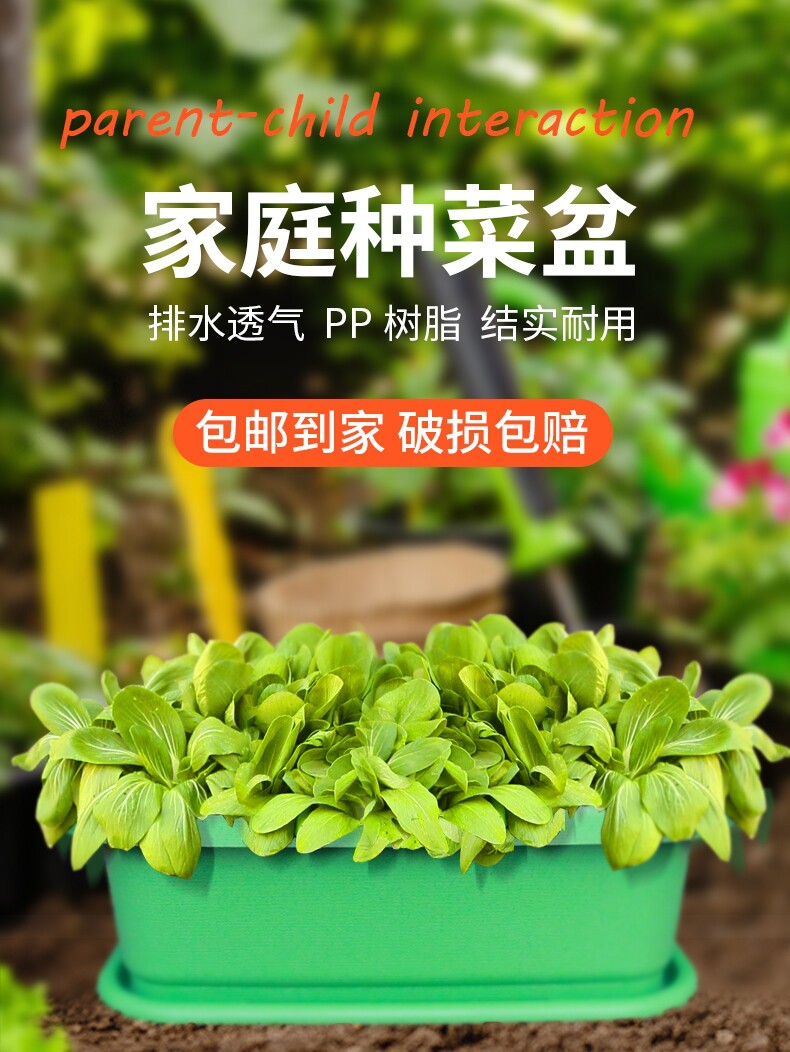 Family balcony vegetable pot vegetable planting rectangular flower pot plastic long four seasons small shallot tray red onion