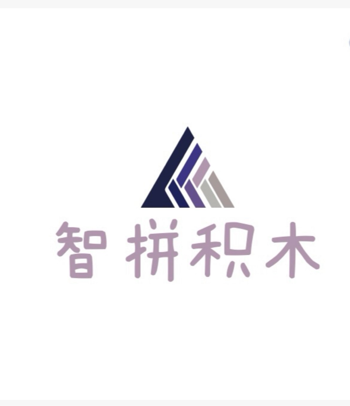 智拼积木玩具