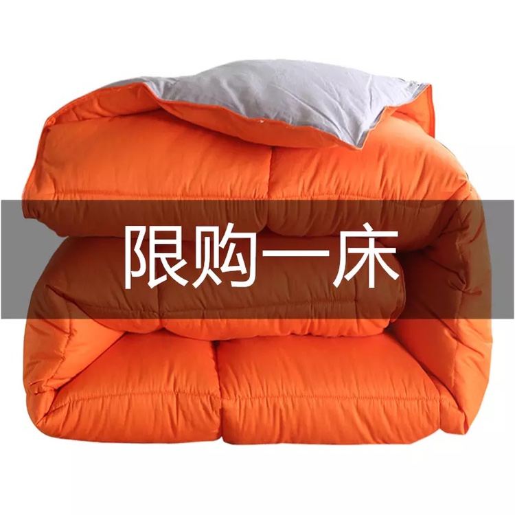 Luxury rich Anna home textile down quilt 95 white goose down spring and autumn quilt winter thickening dormitory warm gift quilt core