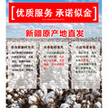 正宗新疆棉花被特营店