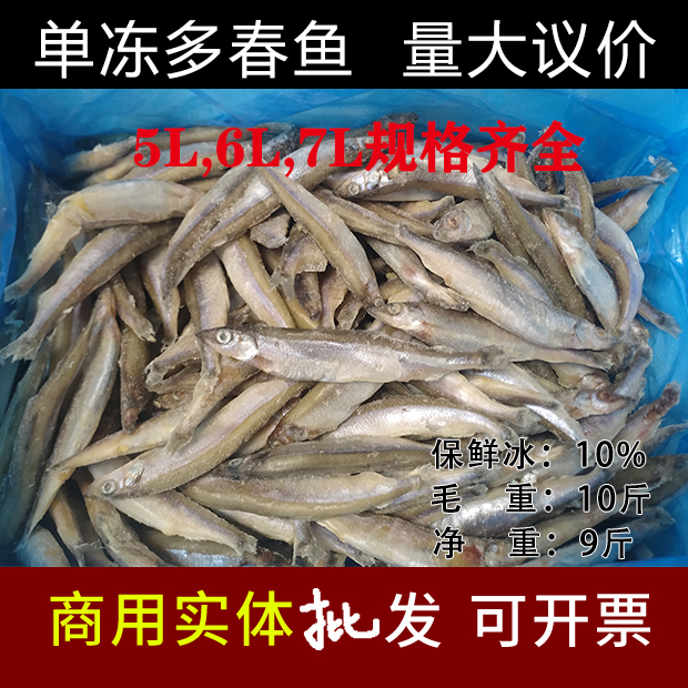 Multi-spring fish fresh full seed commercial frozen live extra-large barbecue large number 5l single freezing complete box 10 catty freeze-dried domestic