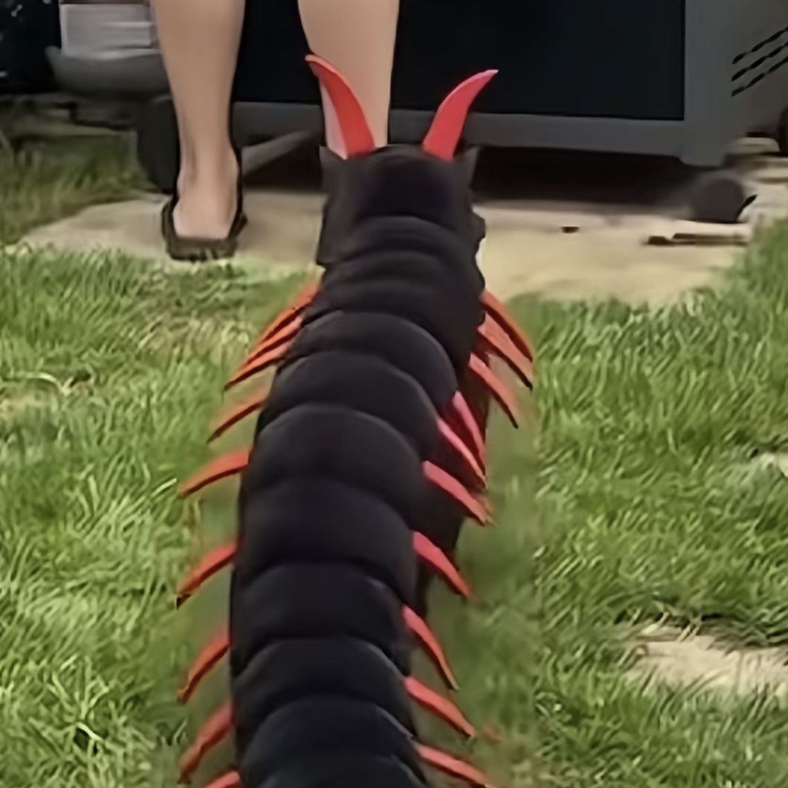 Realistic centipede plush toy for boys, Halloween funny pet cartoon headgear, plush toy, creative doll