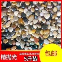 Pot stone fleshy covered stone is paved stone flowerpot small stone grain water tank landscaping stone colored stone grain paved stone