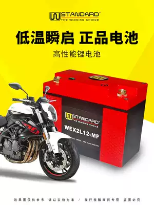 Beilini Huanglong Yellow Patrol 600 BN600R BJ600GS-A TNT600 locomotive battery 12V lithium battery