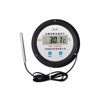 Electronic thermometer with probe water thermometer