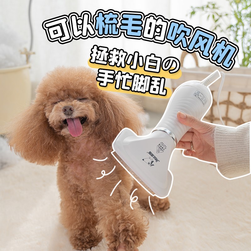 Pet Hair Dryer Ramhair All Dogs Blow up Divine Instrumental Small Dog Kitty Bath Blow-drying Blow Water Machine