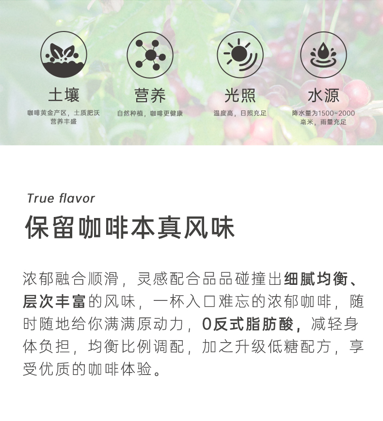 JUESO觉受卡布奇诺风味咖啡6罐