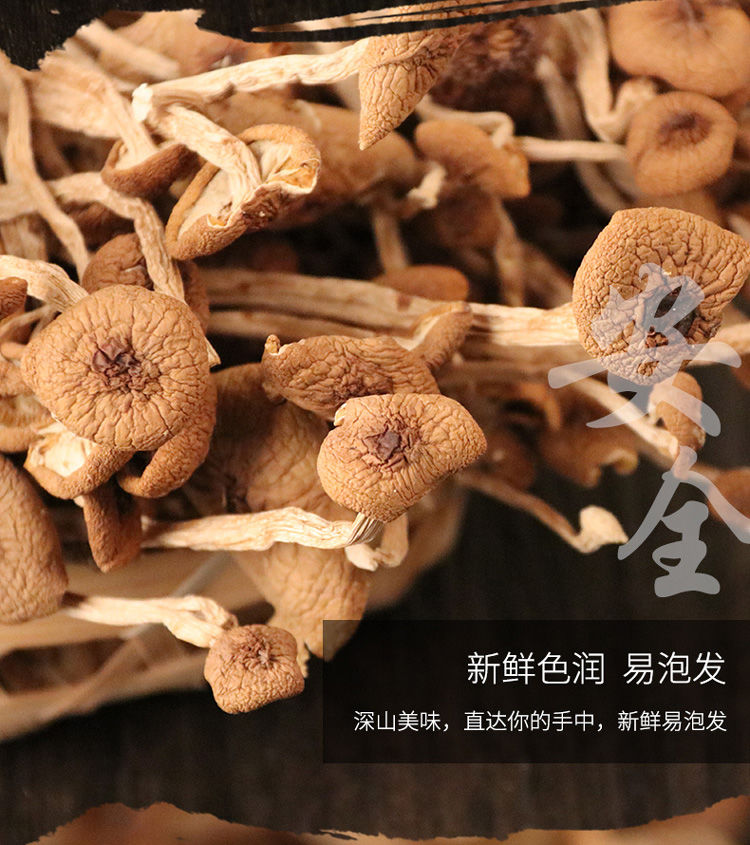 农家茶树菇干货古田鲜嫩茶树菇无硫