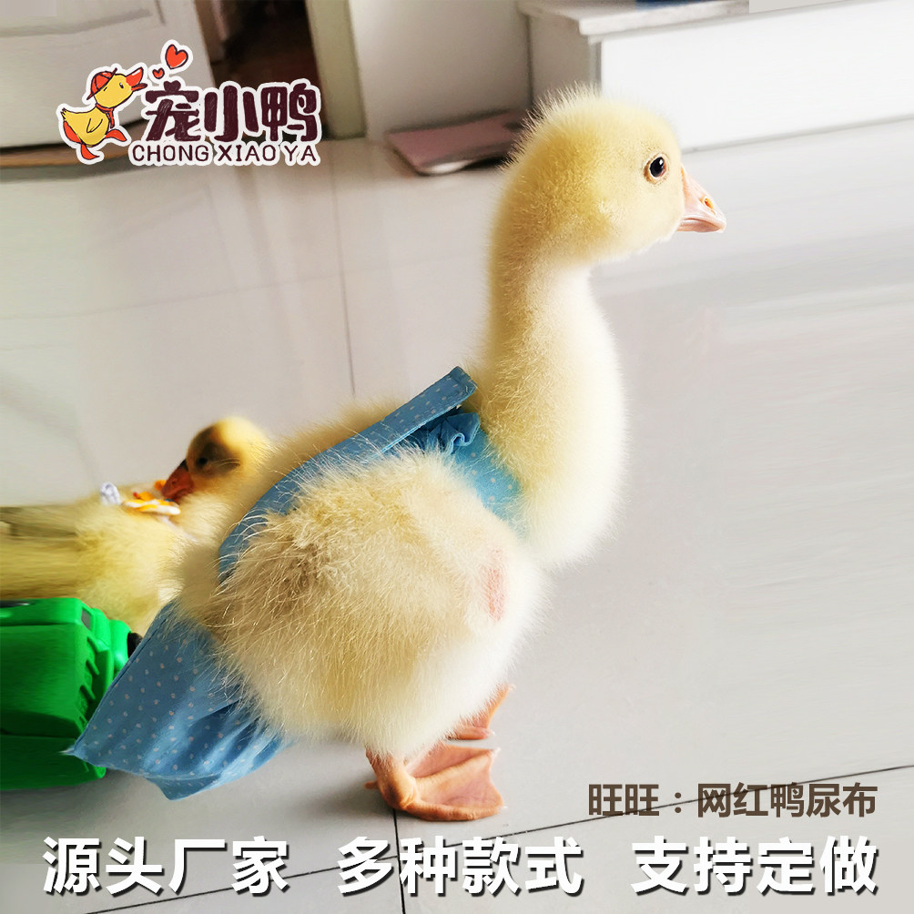 Net Red Pet Goose Clothing Chicken Urine not wet Cole Duck Items Small Duck Goose paper Diaper Diaper Diaper pocket Hood Clothing
