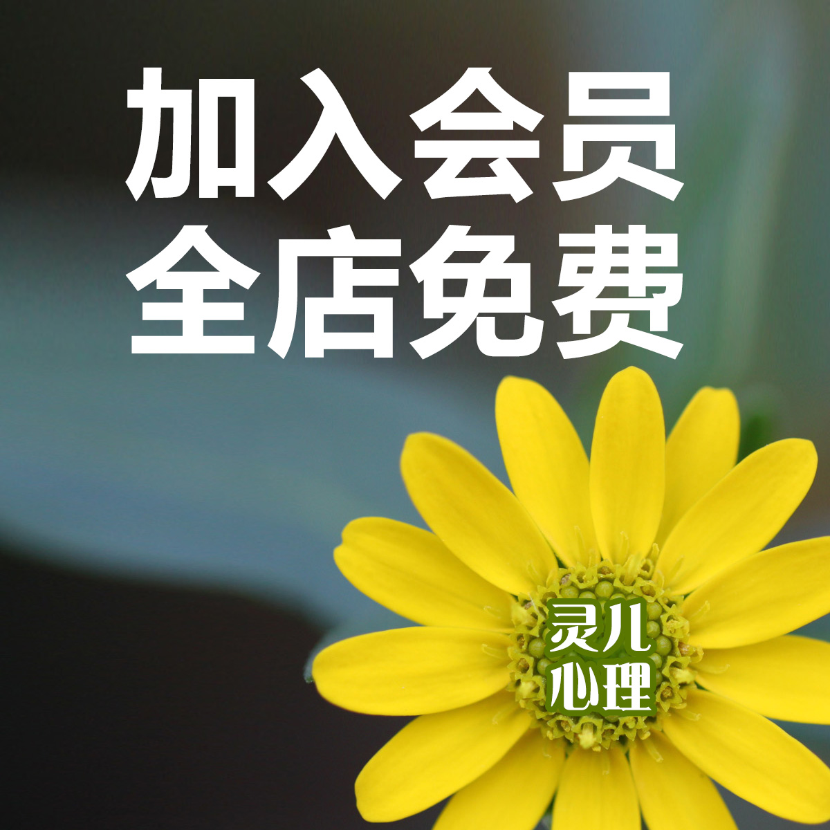 Psychological Resources Conset Shop Members Free Pat Marriage Family Guidance Education Coaching Psychology to Change Life-Taobao