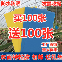 Flower sticky board Vineyard rose anti-insect board insecticidal yellow board blue board rain-proof bug stick board sticky moth board