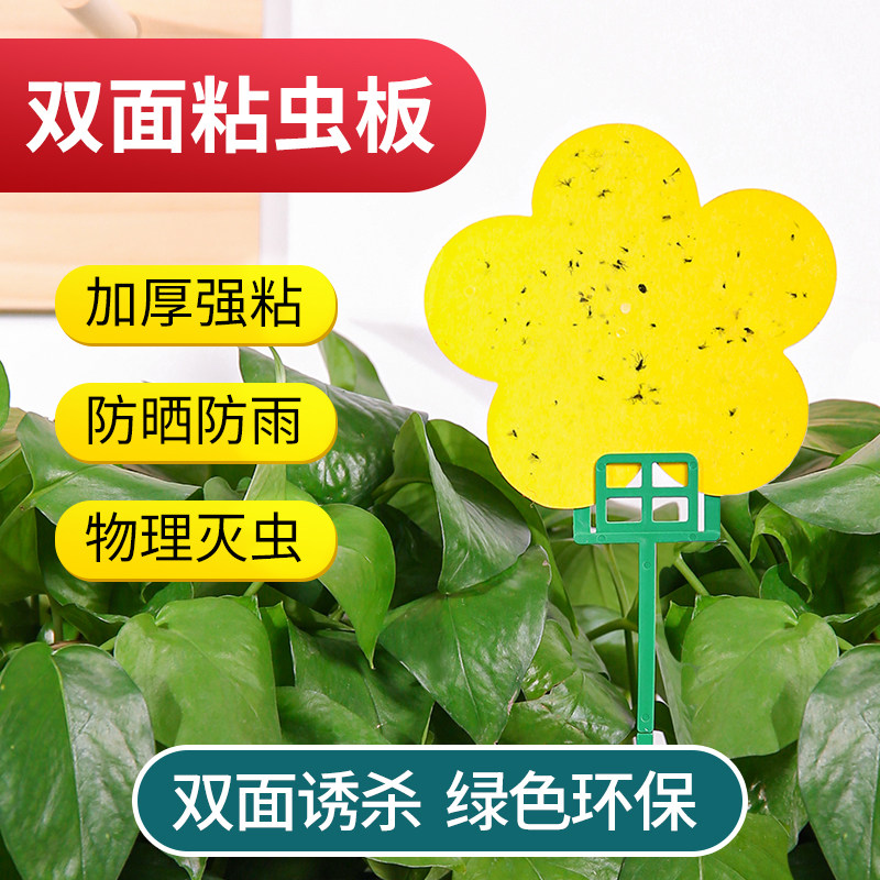 Sticky insect board bracket pig ring heart-shaped insects dip board rose yellow board vegetable shed sticky insect paper insecticidal lure board blue big
