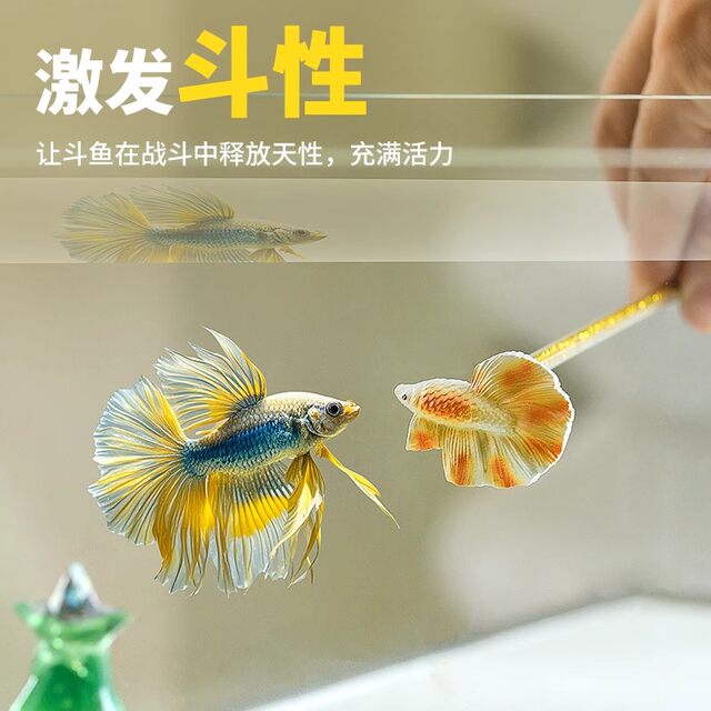 Thai Fighting Fish Teasing Stick, New Interactive Tool, Tropical Fish Ornamental Fish Physical Fitness Enhancement, Tank External Training Tool