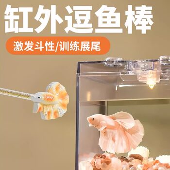 Thai Fighting Fish Teasing Stick, New Interactive Tool, Tropical Fish Ornamental Fish Physical Fitness Enhancement, Tank External Training Tool