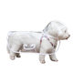 Dog Raincoat Transparent Waterproof Rain Clothes Dog Walking Essential Small and Medium-Sized Dogs Bichon Teddy Rain Poncho Pet Raincoat