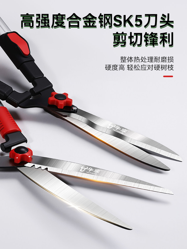 Gardening Shears for Cutting Branches, Specialized for Pruning Branches, Heavy-Duty Pruning, Flower Trimming, Landscaping, Hedge Trimming, Garden Pruning Shears, Large Pruning Shears