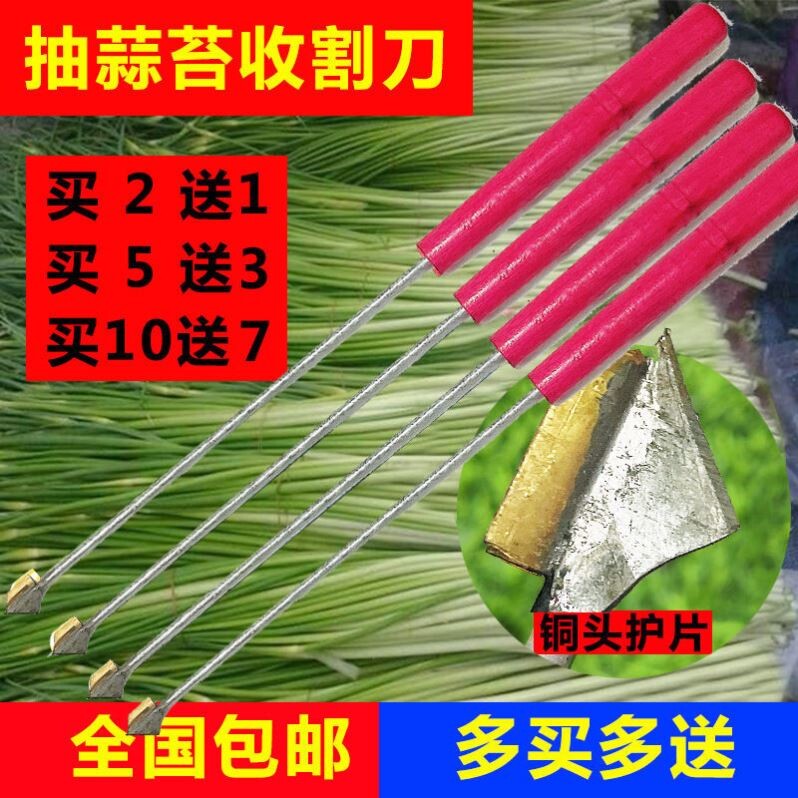 Manual garlic bollards Bollards Harvesting Knife Home Cupping a tool for drawing and peeling garlic bollards to pump garlic bollards